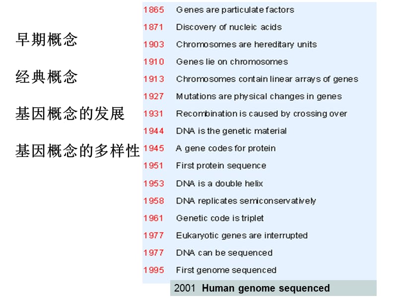 基因的概念及发展.ppt_第3页