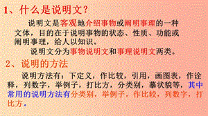 廣東省廉江市八年級語文上冊 第五單元 17 中國石拱橋課件 新人教版.ppt