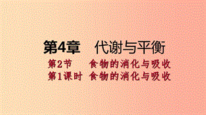 九年級科學(xué)上冊 第4章 代謝與平衡 第2節(jié) 食物的消化與吸收 第1課時 食物的消化與吸收課件 浙教版.ppt