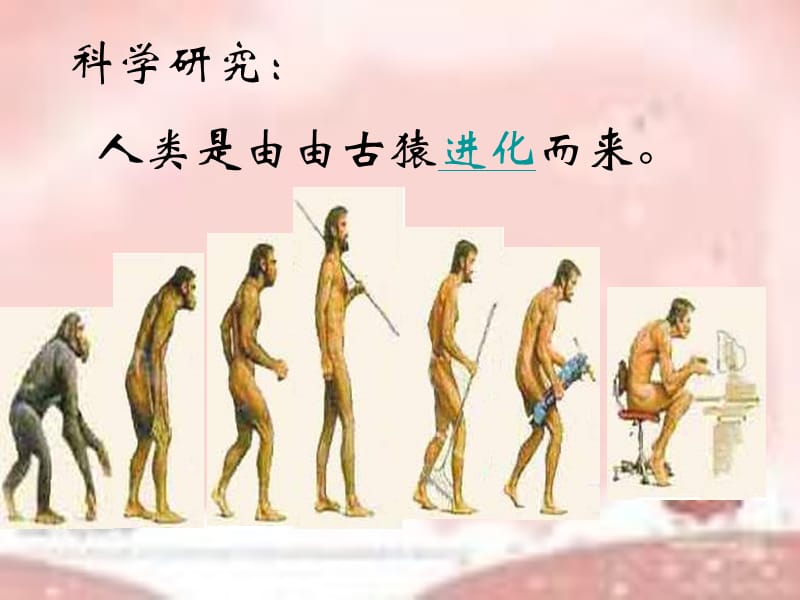 华师大版历史七上《中国远古人类》.ppt_第3页