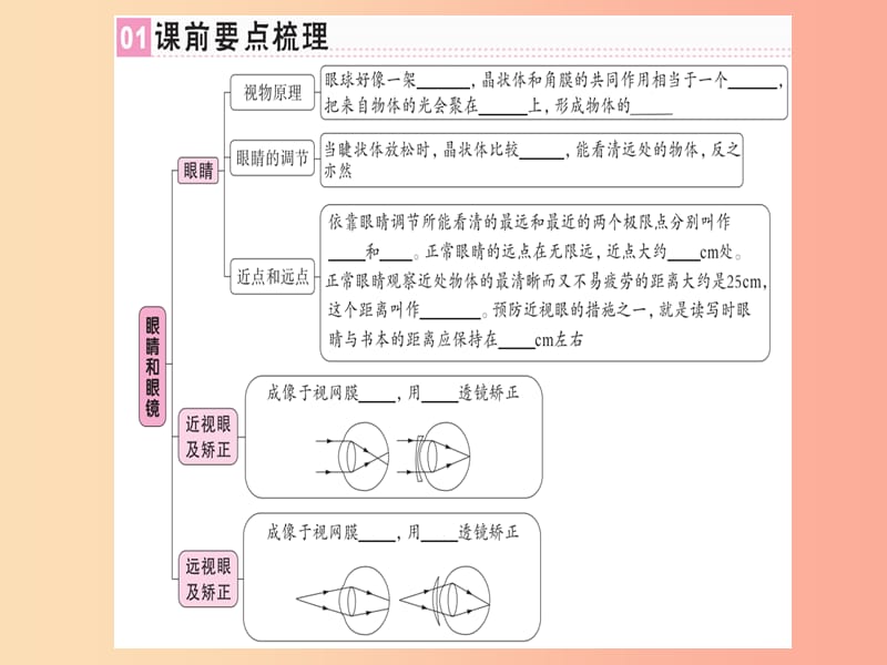 （廣東專用）2019年八年級物理上冊 第五章 第4節(jié) 眼睛和眼鏡習(xí)題課件 新人教版.ppt_第1頁