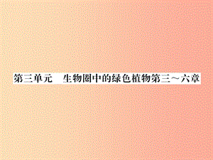 2019年七年級生物上冊 期末專題復(fù)習(xí) 第3單元 第3-6章習(xí)題課件 新人教版.ppt