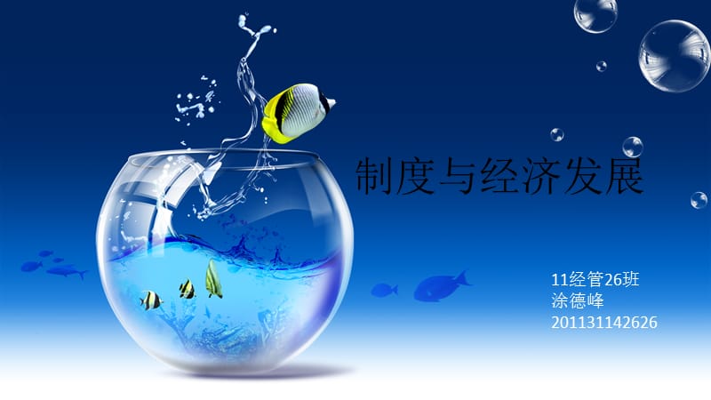 发展经济学十五章.ppt_第1页