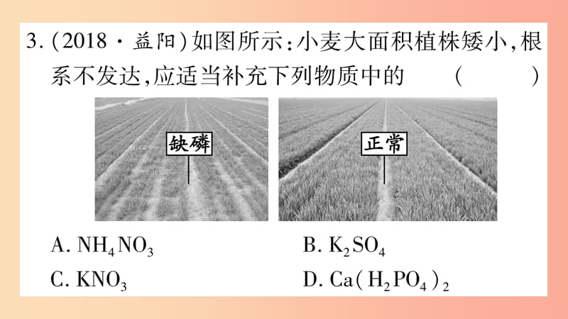 重庆市2019年中考化学复习 第一部分 基础知识 第一单元 常见的物质 第7讲 盐 化肥（精练）课件.ppt_第3页