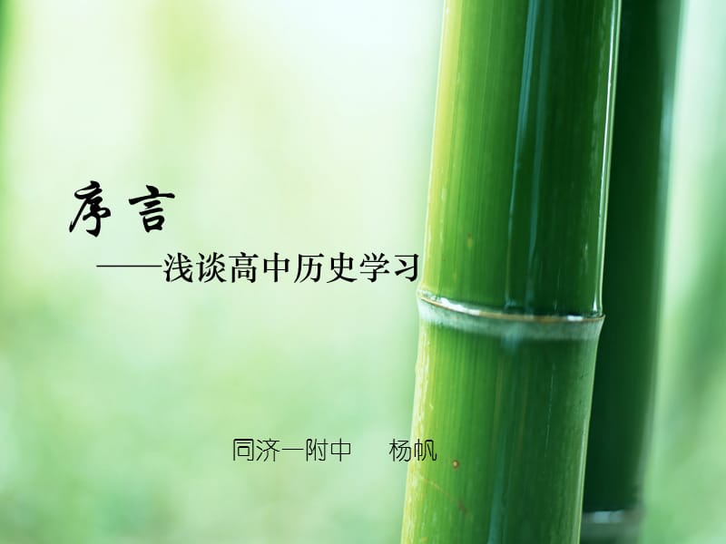 导言-第一节历史.ppt_第1页