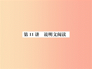 （柳州專(zhuān)版）2019中考語(yǔ)文 第11講 說(shuō)明文閱讀復(fù)習(xí)課件.ppt