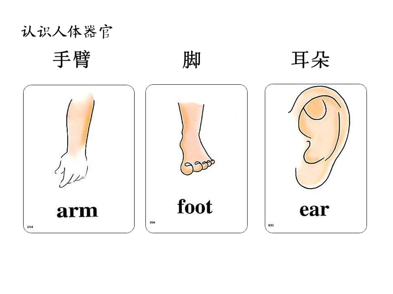 小学三年级上册人教版单词.ppt_第1页