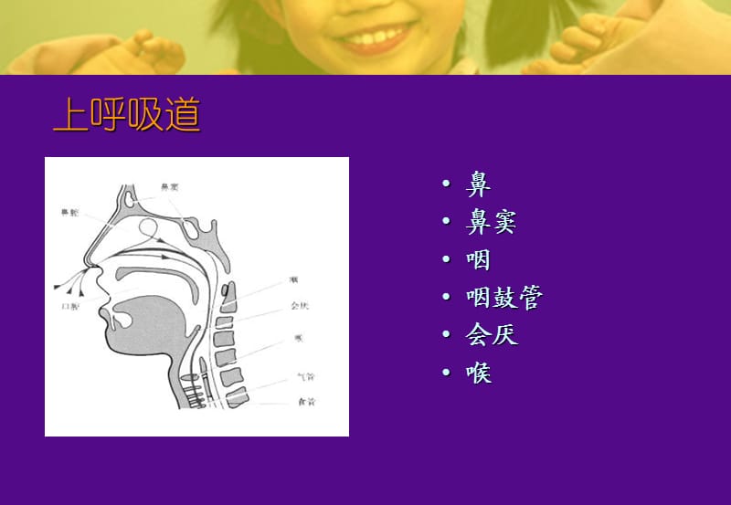 儿童呼吸系统病的预防.ppt_第2页