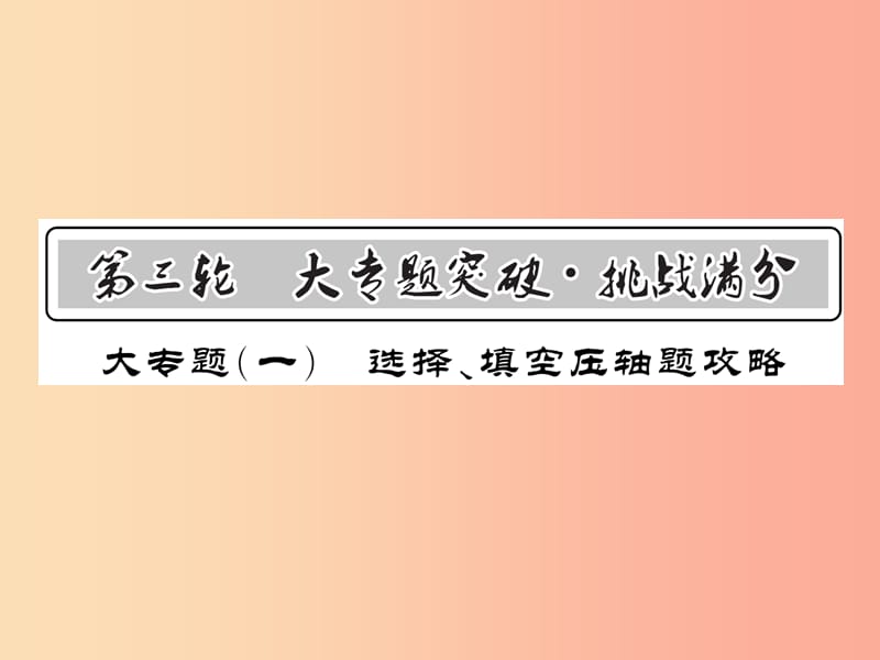 （课标版通用）2019中考数学总复习 第三轮 大专题突破 挑战满分 大专题（一）习题课件.ppt_第1页