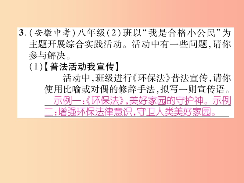 2019年八年级语文上册 专题5 综合性学习习题课件 新人教版.ppt_第3页