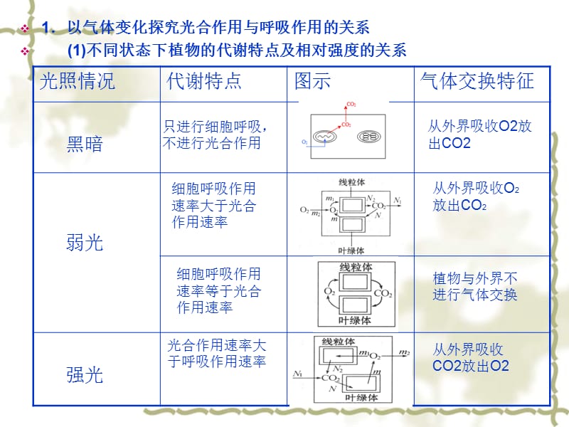 光合作用与呼吸作用的关系.ppt_第2页