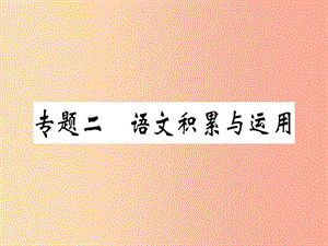 （安徽專版）2019春八年級語文下冊 專題復(fù)習(xí)二 語文積累與運用習(xí)題課件 新人教版.ppt