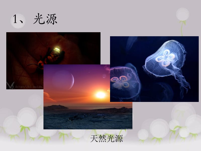 初中物理光的传播ppt.ppt_第3页