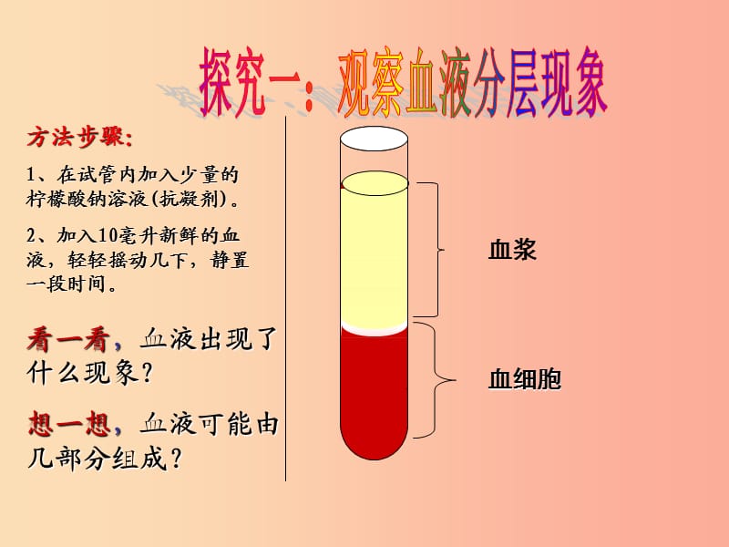 山东省安丘市七年级生物下册3.3.1物质运输的载体课件新版济南版.ppt_第3页