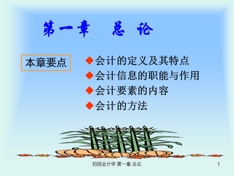 初级会计学第一章总论.ppt_第1页