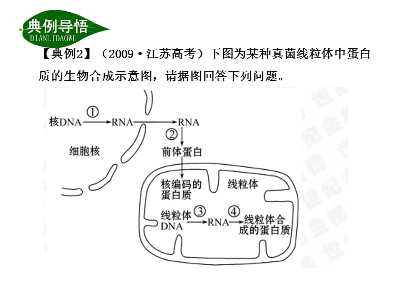 基因对性状的控制.ppt_第1页