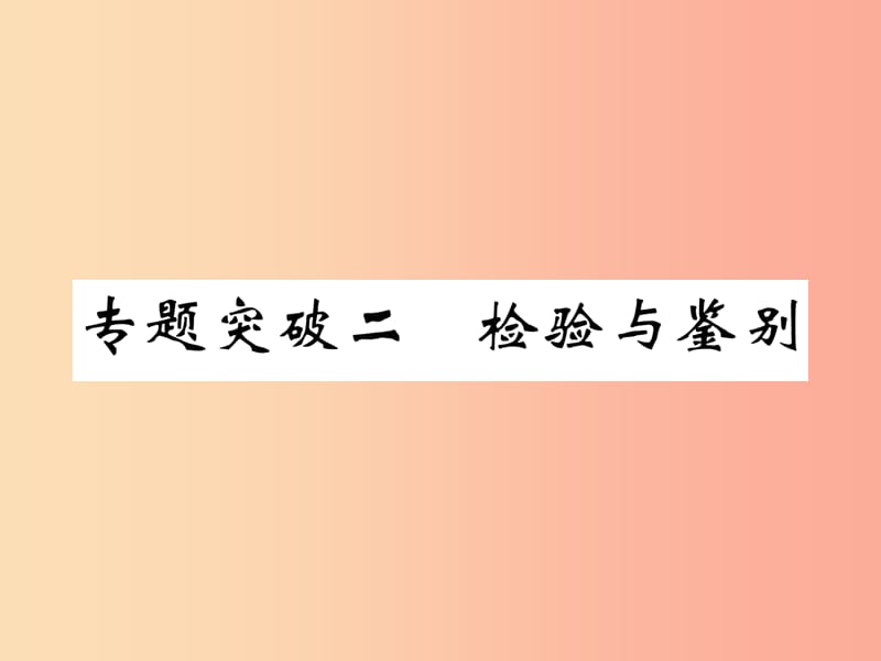 （百色專版）2019屆中考化學(xué)畢業(yè)總復(fù)習(xí) 第2編 重點(diǎn)專題突破篇 專題突破2 檢驗(yàn)與鑒別課件.ppt_第1頁