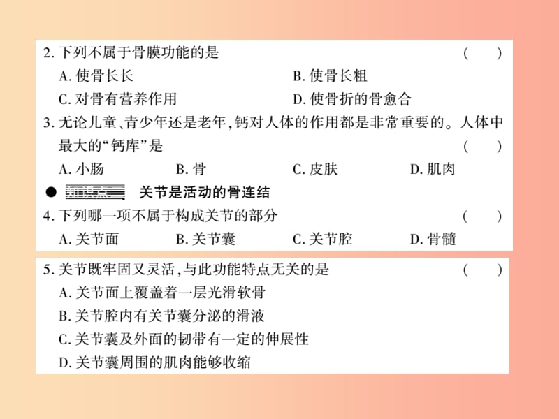 2019年八年级生物上册第五单元第15章第2节动物运动的形成习题课件（新版）北师大版.ppt_第3页