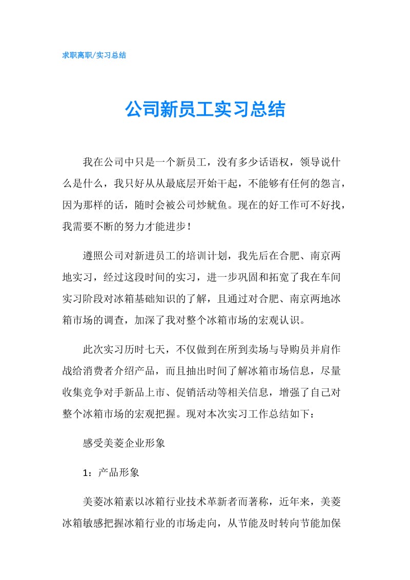 公司新员工实习总结.doc_第1页