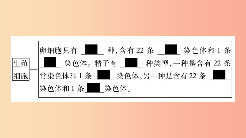 广西省玉林市2019年八年级生物上册第6单元第20章第4节性别和性别决定课件（新版）北师大版.ppt_第3页