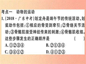 2019春八年級(jí)生物下冊(cè) 專題復(fù)習(xí)八 動(dòng)物的運(yùn)動(dòng)和行為習(xí)題課件（新版）北師大版.ppt