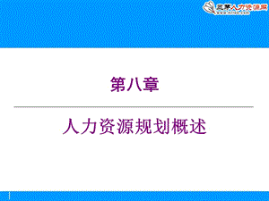 人力資源規(guī)劃概述(ppt).ppt