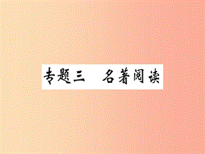 （安徽專版）2019春八年級語文下冊 專題復(fù)習(xí)三 名著閱讀習(xí)題課件 新人教版.ppt