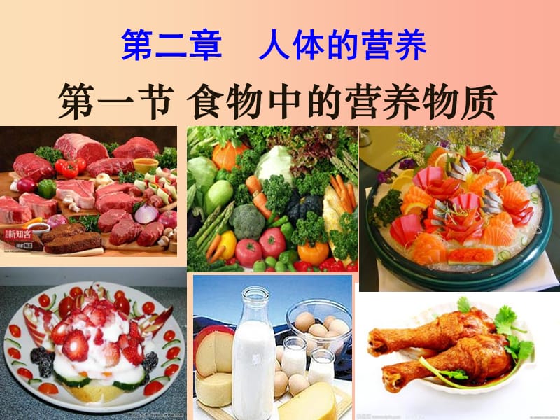 內(nèi)蒙古鄂爾多斯市達(dá)拉特旗七年級(jí)生物下冊(cè) 4.2.1食物中的營(yíng)養(yǎng)物質(zhì)課件 新人教版.ppt_第1頁(yè)