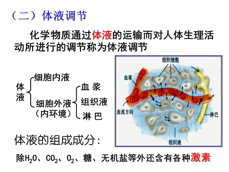 人和高等动物生命活动的调节.ppt_第2页