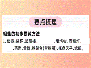 2019-2020學年九年級化學下冊 第十一單元 鹽 化肥 實驗活動8 粗鹽中難溶性雜質(zhì)的去除習題課件 新人教版.ppt