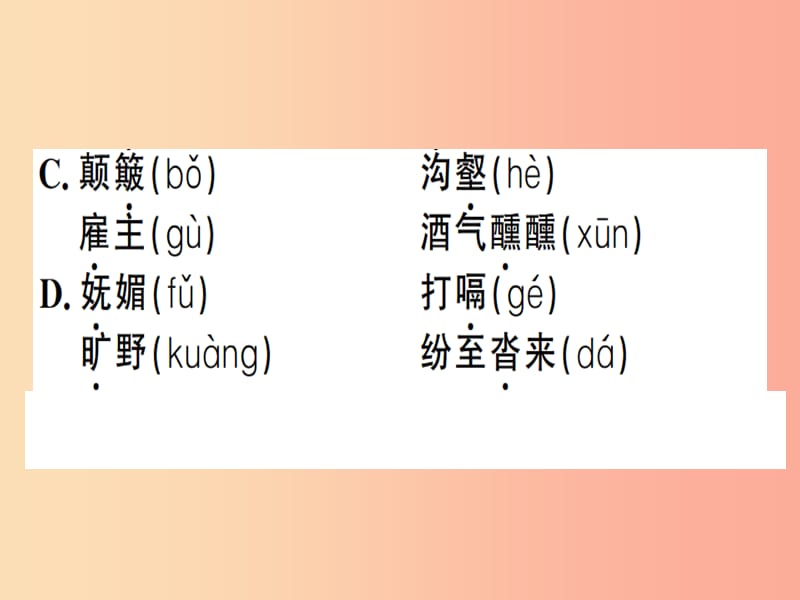 （贵州专版）2019春八年级语文下册 第五单元 19 登勃朗峰习题课件 新人教版.ppt_第3页