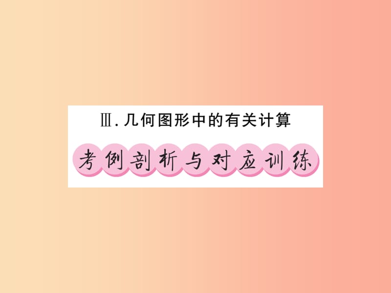 （课标版通用）2019中考数学总复习 第三轮 大专题突破 挑战满分 大专题（三）习题课件.ppt_第1页