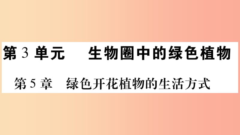 2019年七年级生物上册第3单元第5章第1节光合作用第1课时习题课件（新版）北师大版.ppt_第1页