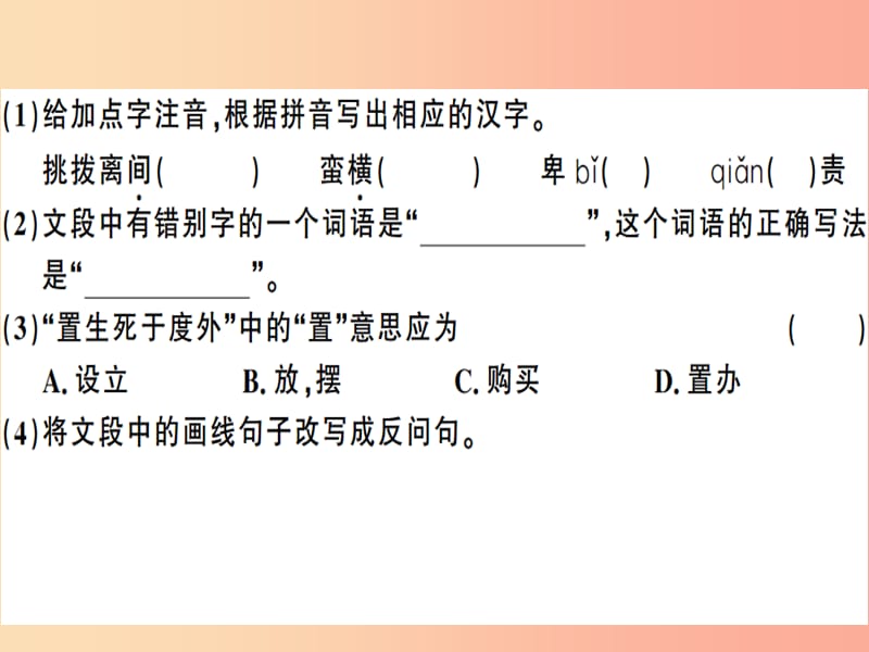 （安徽专版）2019春八年级语文下册 第四单元 13最后一次讲演习题课件 新人教版.ppt_第3页