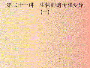 甘肅省2019年中考生物總復(fù)習(xí) 第七單元 生物圈中生命的延續(xù)和發(fā)展 第二十一講 生物的遺傳和變異(一).ppt