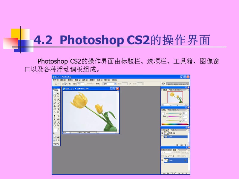 图形图像处理软件Photosh.ppt_第3页