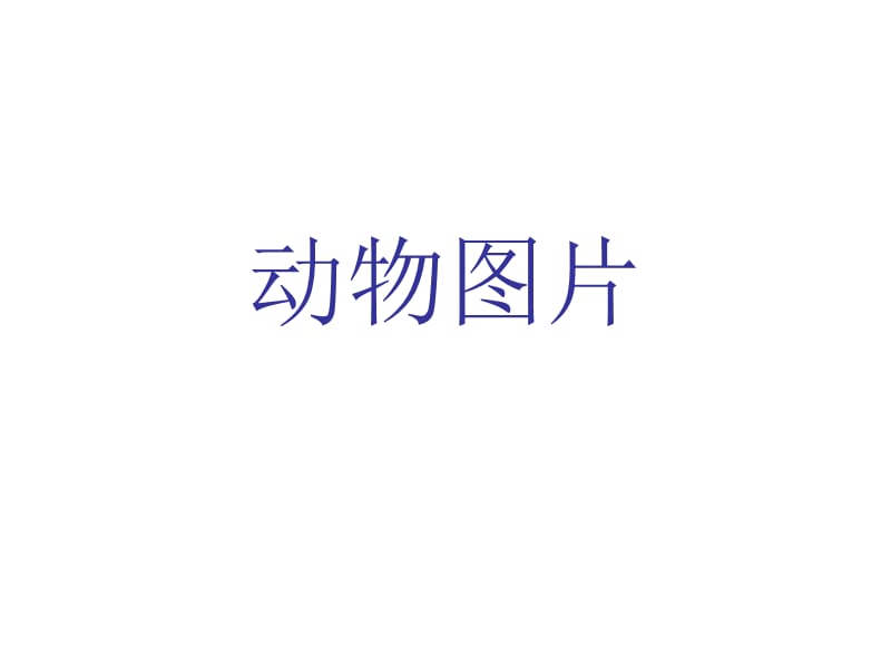 动物图片(绘画用).ppt_第1页