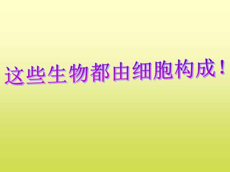 动物细胞的结构层次.ppt_第2页