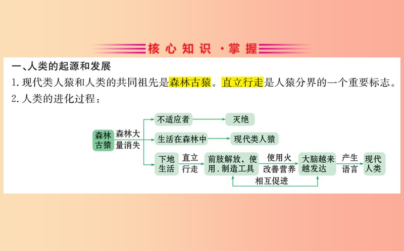 七年级生物下册 第四单元 生物圈中的人 期末抢分必胜课 第一部分 第四单元 生物圈中的人 第一章 人的由来.ppt_第3页