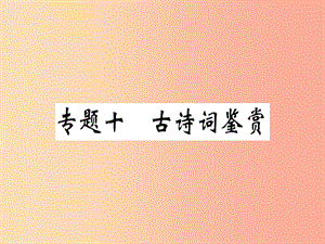 （河南專版）2019春八年級(jí)語文下冊(cè) 期末專題復(fù)習(xí)十 古詩詞鑒賞習(xí)題課件 新人教版.ppt