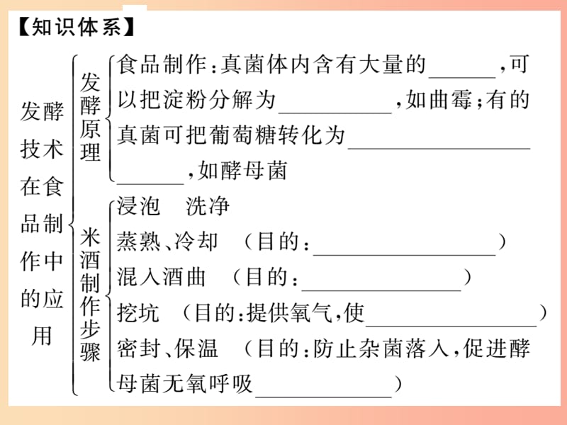 八年级生物上册第五单元第四章第五节人类对细菌和真菌的利用第1课时发酵及食品的制作习题课件 新人教版.ppt_第2页