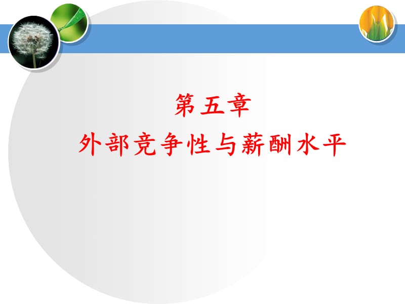 外部竞争性与薪酬水平.ppt_第1页