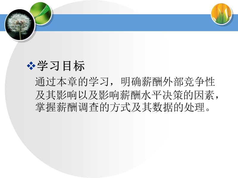 外部竞争性与薪酬水平.ppt_第2页