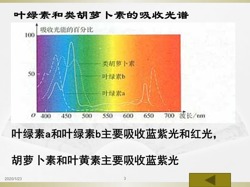 光合作用的探究历程与过程.ppt_第3页