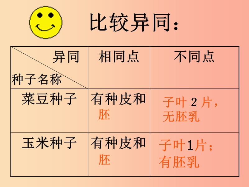 陕西省七年级生物上册 3.1.2 种子植物课件 新人教版.ppt_第3页