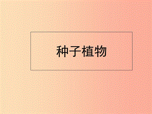 陜西省七年級生物上冊 3.1.2 種子植物課件 新人教版.ppt