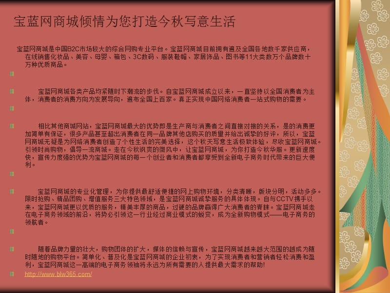 宝蓝网商城电商发展概论.ppt_第2页