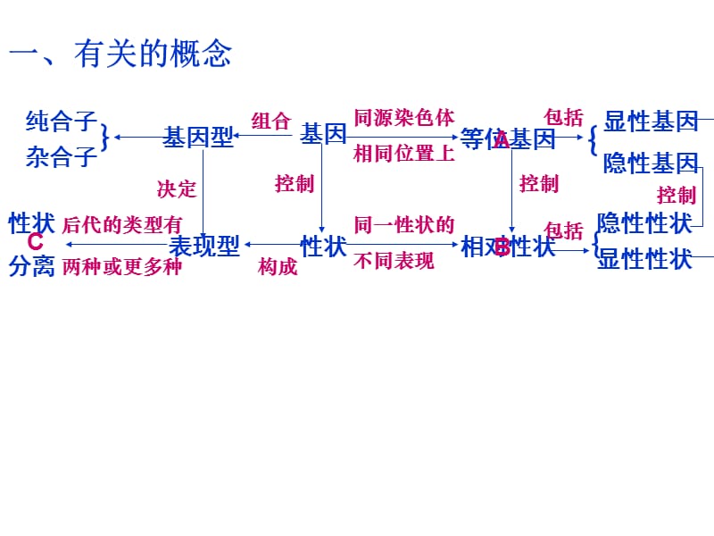 孟德尔遗传定律复习.ppt_第2页