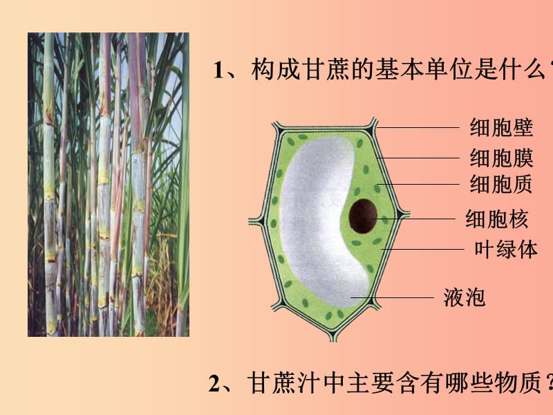 浙江省七年级科学上册 第4章 物质的特性 4.1 物质的构成课件2（新版）浙教版.ppt_第2页