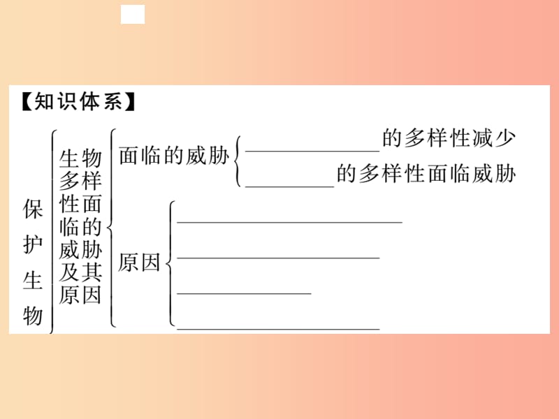 2019年八年级生物上册第六单元第三章保护生物的多样性习题课件 新人教版.ppt_第2页